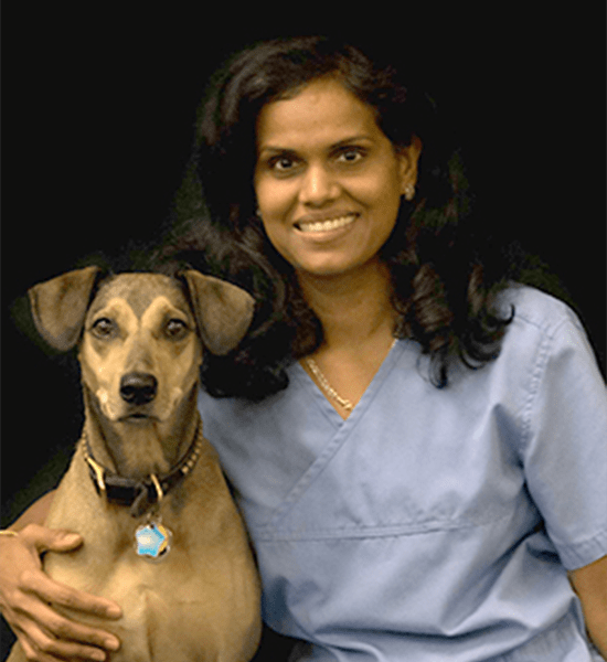 Doraville Veterinarian