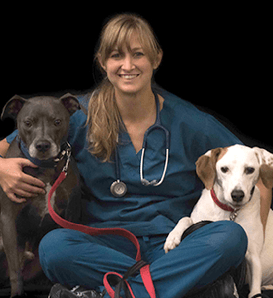 Doraville Veterinarian