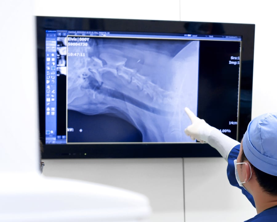 Diagnostic & Lab Technology, Doraville Vet